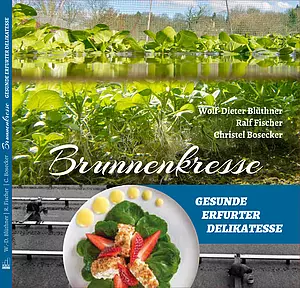 Brunnenkresse - Gesunde Erfurter Delikatesse Brunnenkresse - Gesunde Erfurter Delikatesse
