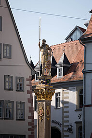 Referenzbild