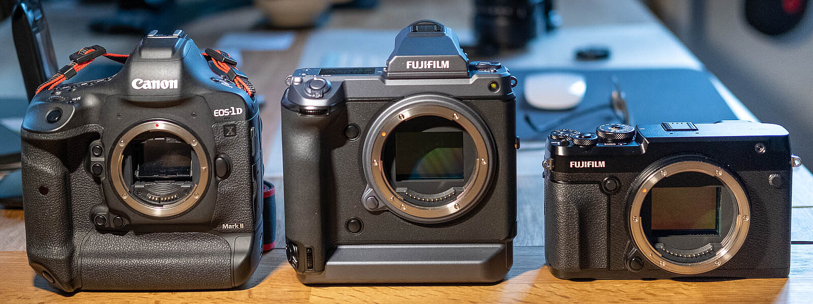 Fujifilm GFX 100 im Vergleich mit Canon EOS 1DX und Fujifilm GFX 50R Fujifilm GFX 100 im Vergleich mit Canon EOS 1DX und Fujifilm GFX 50R