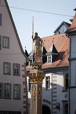 Referenzbild